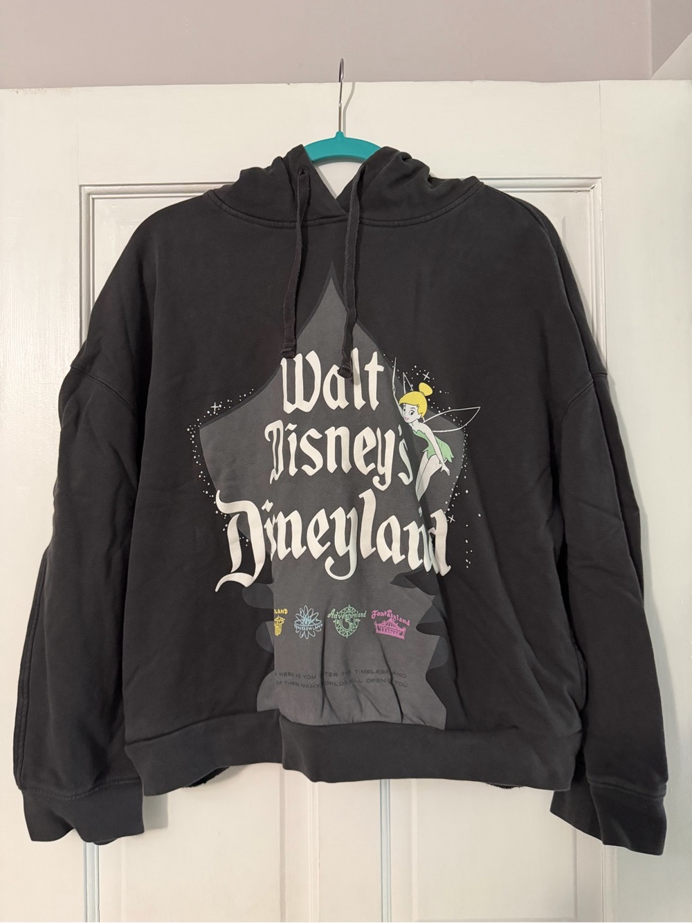 Disney Walt Disney’s Disneyland Black Hooded Sweatshirt with Tinker Bell